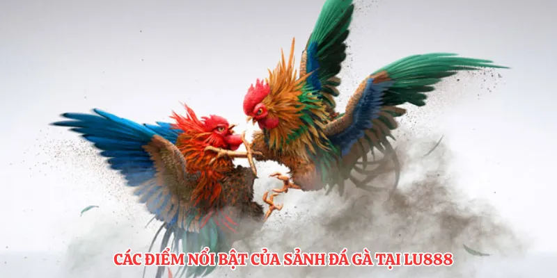 Các điểm nổi bật của sảnh đá gà tại LU888