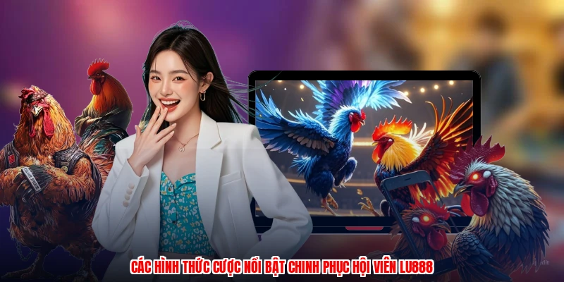 Các hình thức cược nổi bật chinh phục hội viên LU888