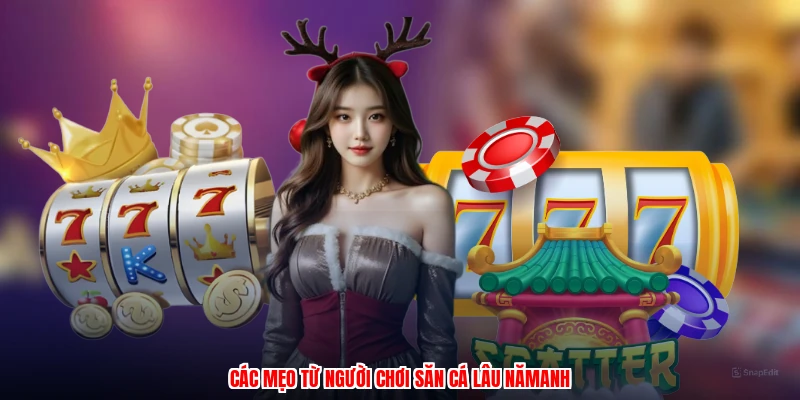 Các mẹo từ người chơi săn cá lâu nămanh