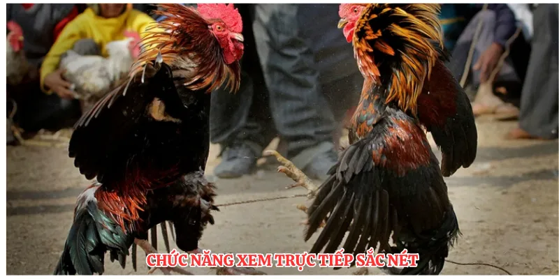 Chức năng xem trực tiếp sắc nét