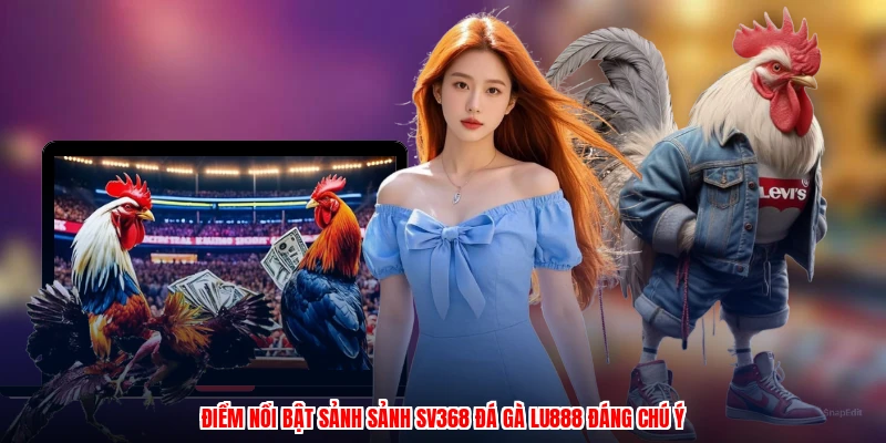 Điểm nổi bật sảnh sảnh SV368 đá gà LU888 đáng chú ý