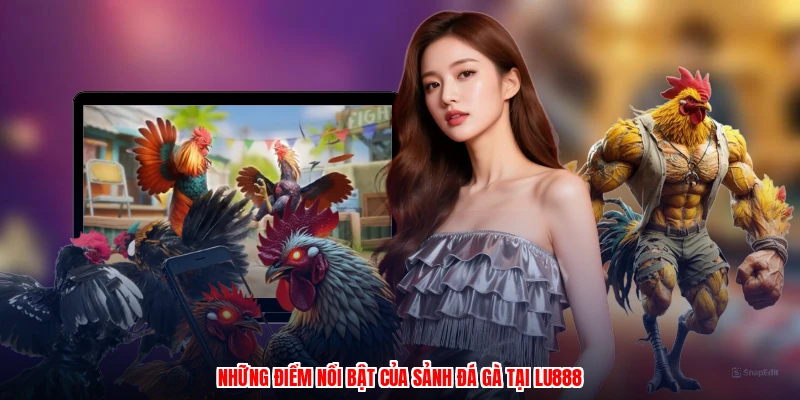 Những điểm nổi bật của sảnh đá gà tại LU888