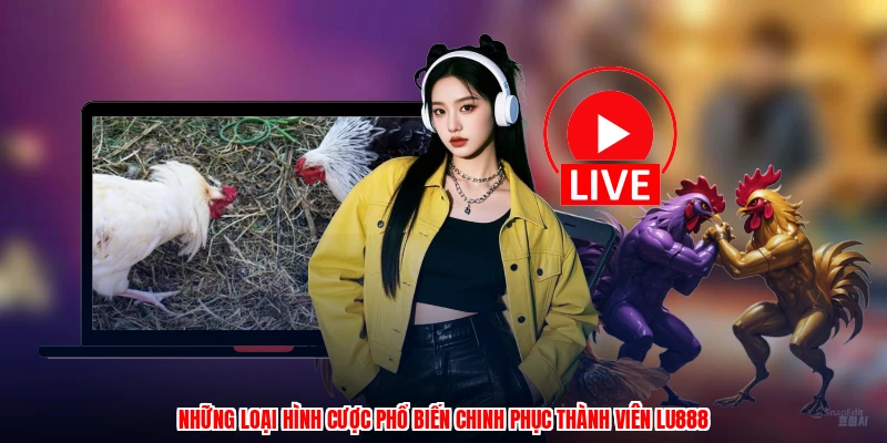 Những loại hình cược phổ biến chinh phục thành viên LU888