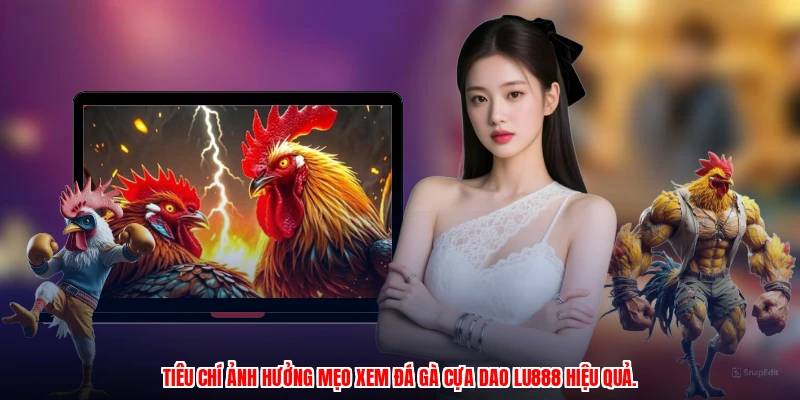 Tiêu chí ảnh hưởng mẹo xem đá gà cựa dao LU888 hiệu quả.