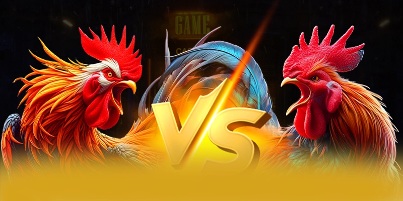 Chuong trinh thuong gia tri lon danh cho cong dong tai 8XBET