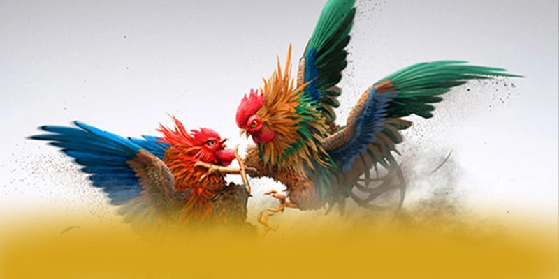 Câu hỏi thường gặp về [THUONG_HIEU]
