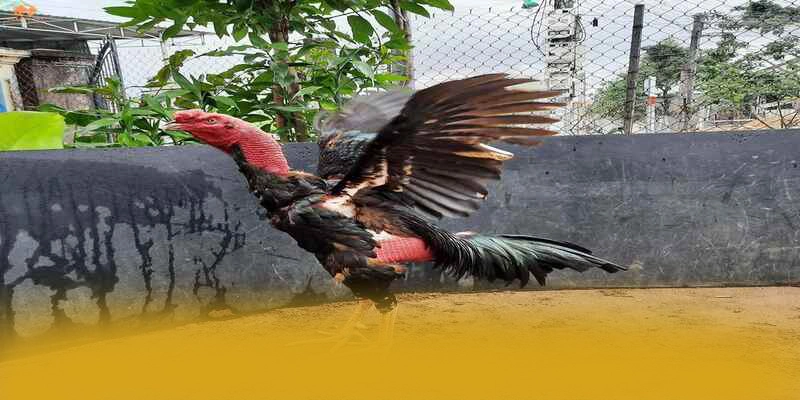 An toàn tài khoản tại BET88